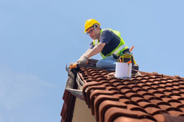 Best Skylight Installation and Repair  in Port Byron, IL